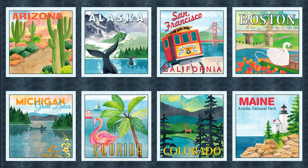 Blank Quilting Stateside 2113 95 Gray State Blocks 24" PANEL By The PANEL (Not Stricty By The Yard)