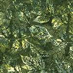 Hoffman Batik X2650 365 Tavarua Xray Leaves By The Yard