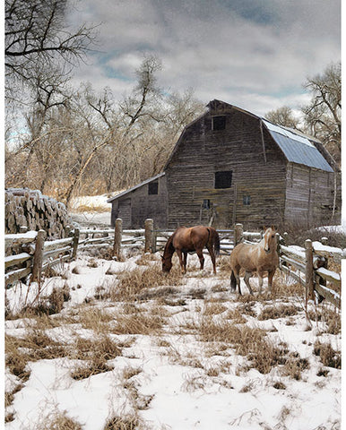 Hoffman Spectrum Print Winterwind Stables Y5782 725 Pasture 34" PANEL By The PANEL (Not Strictly By The Yard)
