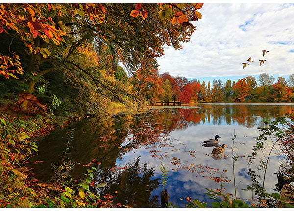 Hoffman Spectrum Print On The Path To Fall Y5790 311 Lake 30" PANEL By The PANEL (Not Strictly By The Yard)