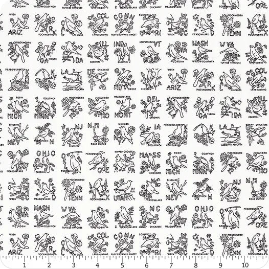 Riley Blake Sew America CD17351 White State Birds By The Yard