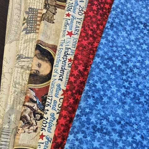 Matt's Mystery Bundles -  3.828 yards - Northcott 250 #7- Assorted Remnants