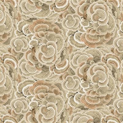 Clothworks Nature Study Y4856 12 Khaki Turkey Tail By The Yard