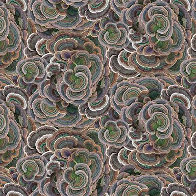 Clothworks Nature Study Y4856 15 Brown Turkey Tail By The Yard