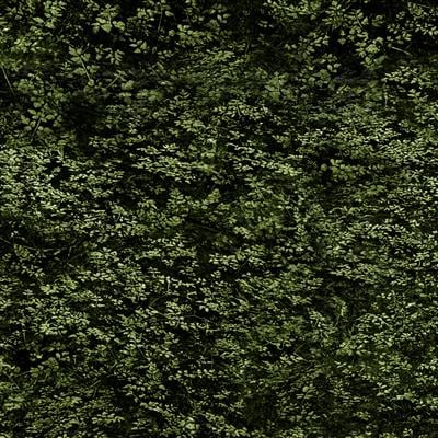 Clothworks Nature Study Y4858 25 Dark Olive Foliage By The Yard