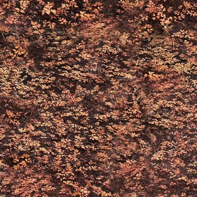 Clothworks Nature Study Y4858 72 Dark Rust Foliage By The Yard