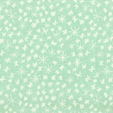 Riley Blake Nice Ice Baby C11604 Mint Snowflakes By The Yard