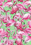 Freckle & Lollie Surfside D4-G Green Flamingos By The Yard