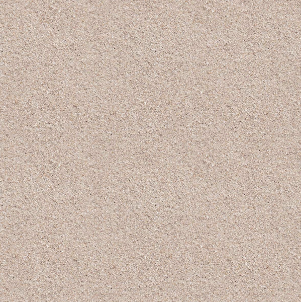Northcott The View From Here 2 -  23782 12 Taupe Sand By The Yard