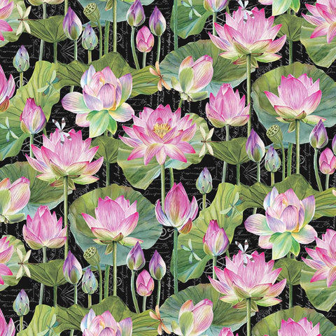 Northcott Water Lilies DP25057 99 Black Multi Feature Floral By The Yard