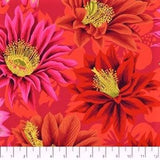 Free Spirit Kaffe Fassett Collective PWPJ096 Red Cactus Flower By The Yard