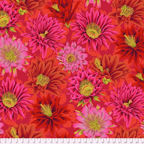 Free Spirit Kaffe Fassett Collective PWPJ096 Red Cactus Flower By The Yard