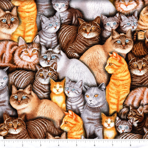 RJR Fabrics Dan Morris Meow Mix 17160 193 All Over Cats By The Yard